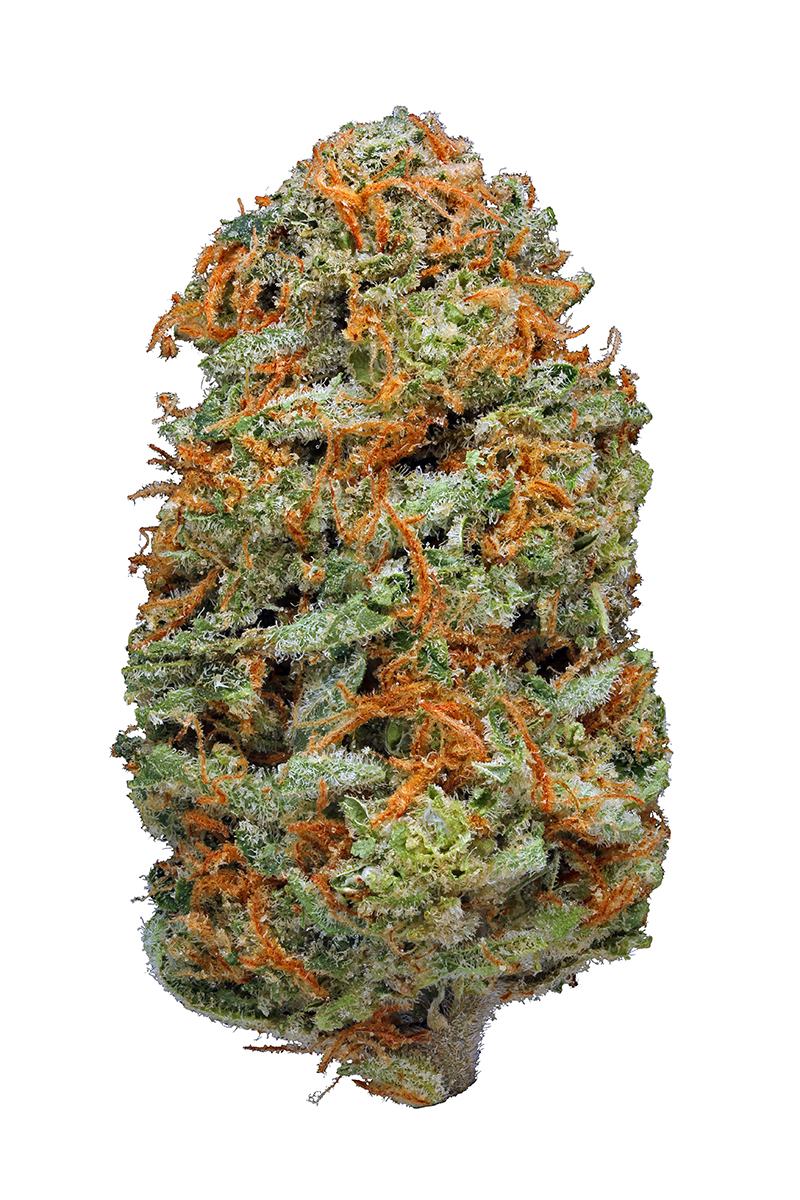 Cherry AK-47 - Hybrid Cannabis Strain