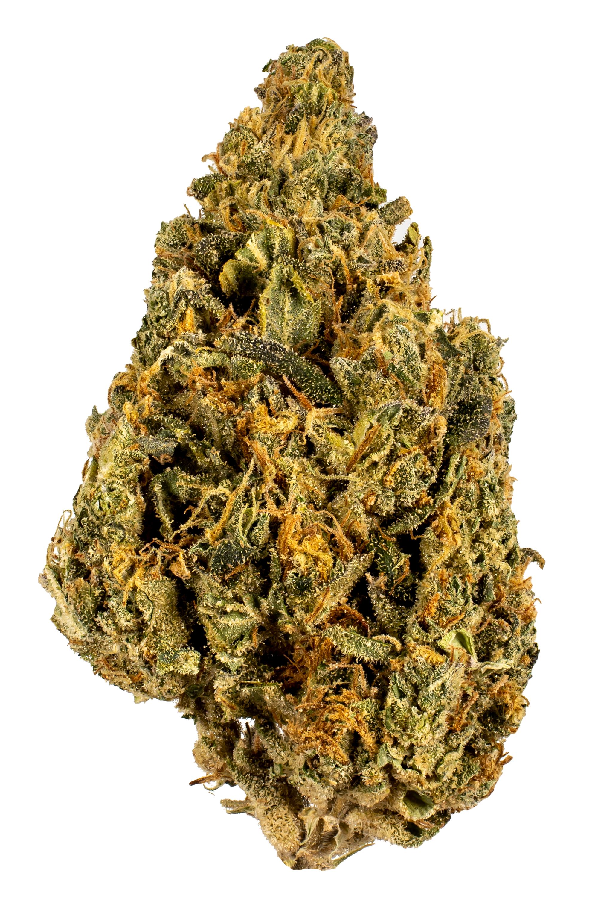 Cherry Blossom Kush - Hybrid Cannabis Strain