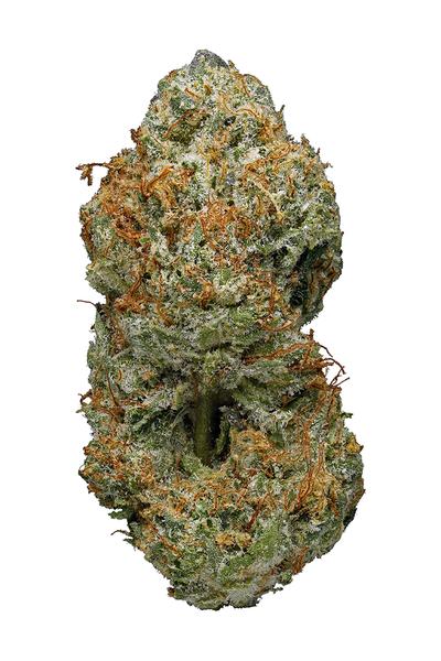 Cherry Bomb - Híbrida Cannabis Strain