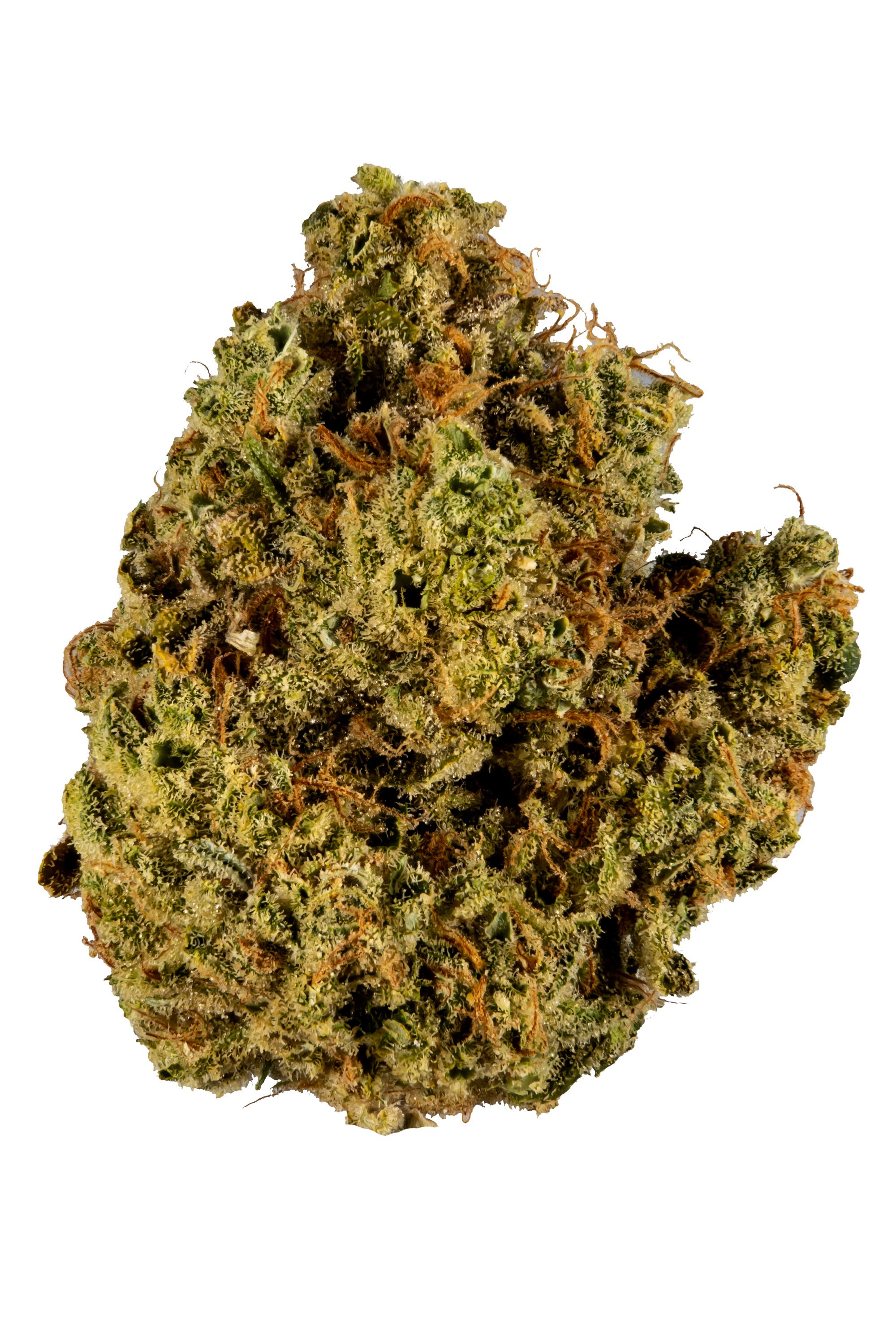 Cherry Chem Strain - Hybrid Cannabis Video, THC, Terpenes : Hytiva