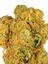 Cherry Cobbler Hybrid Cannabis Strain Thumbnail