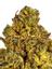 Cherry Cookie Haze Hybrid Cannabis Strain Thumbnail