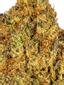 Cherry Cookies Hybrid Cannabis Strain Thumbnail