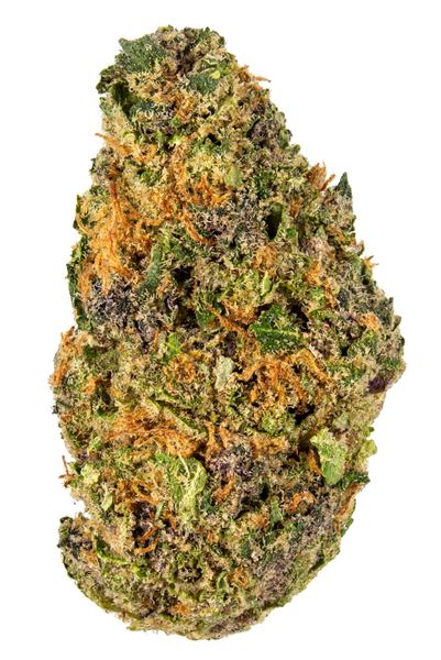 Cherry Gorilla - Hybride Cannabis Strain