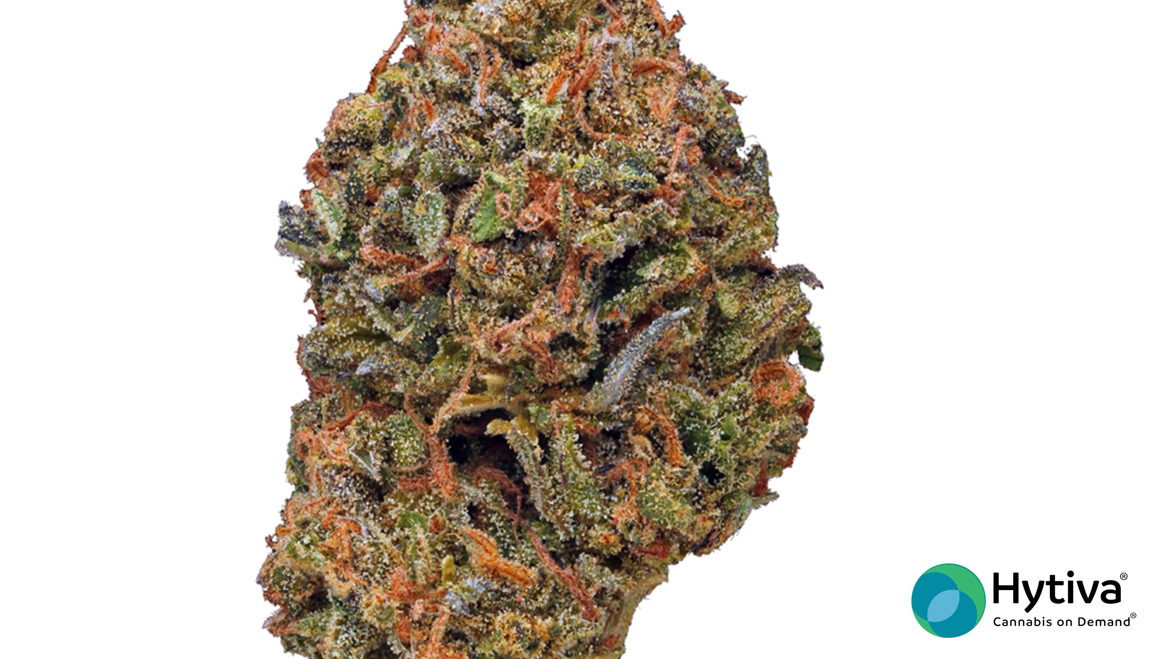 Buy Cherry Pie Online - Cherry Pie Strain - cherry pie weed strain