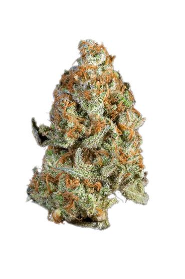 Cherry Train - Hybrid Cannabis Strain