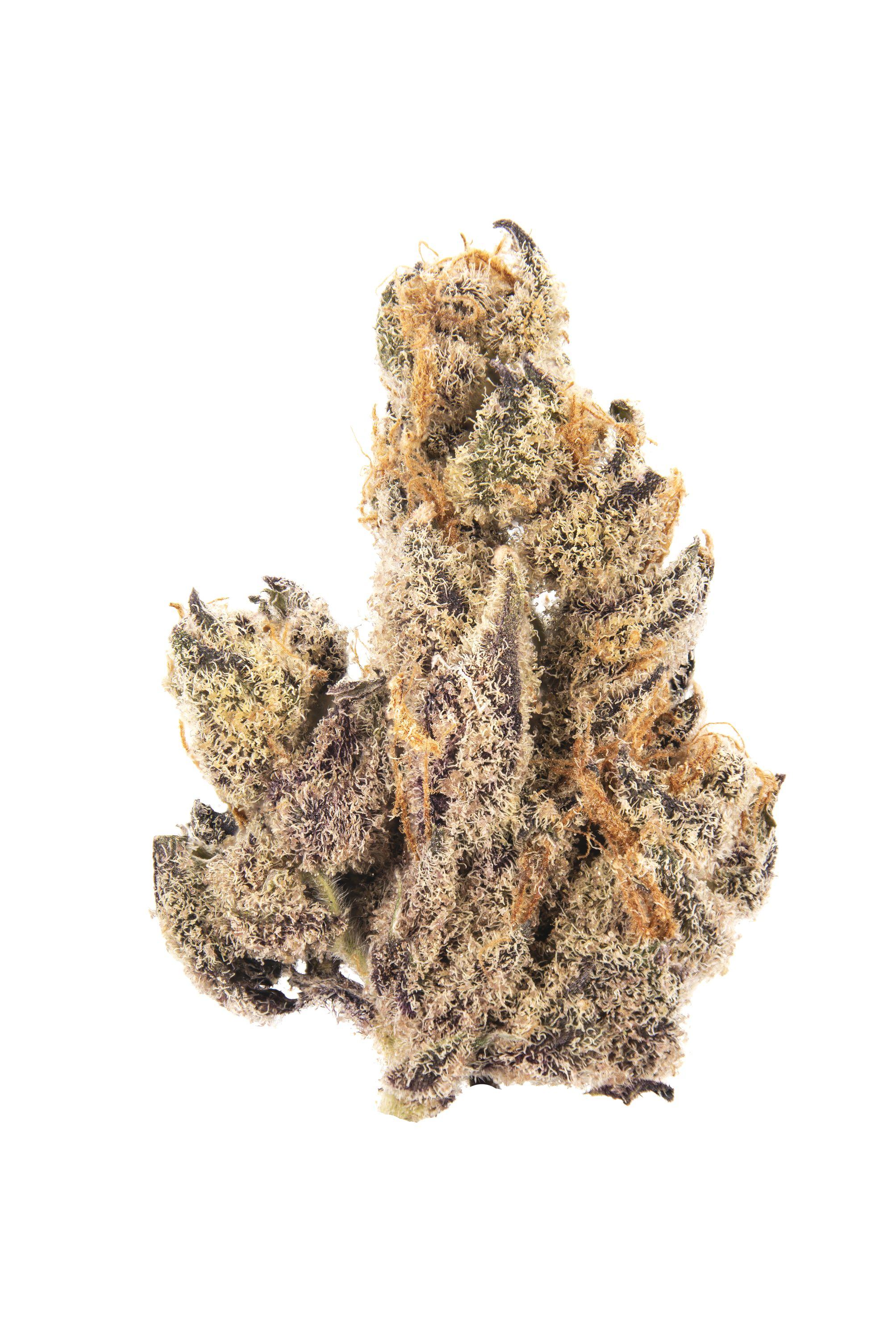 Chimera Cannabis Strain Bud