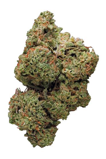 Christopher Reeve - Hybrid Cannabis Strain