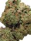 Christopher Reeve Hybrid Cannabis Strain Thumbnail