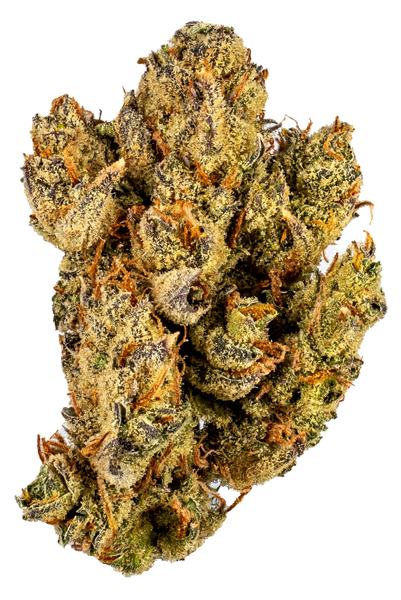 Citral Glue - Híbrida Cannabis Strain