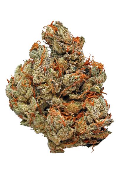 Citrix - Hybrid Cannabis Strain