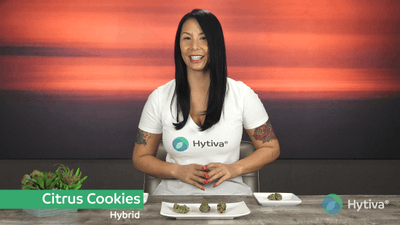 Citrus Cookies - Hybrid Strain