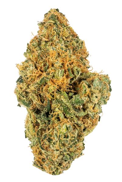 Citrus Farmer - Híbrido Cannabis Strain