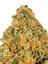 Citrus Farmer Hybrid Cannabis Strain Thumbnail
