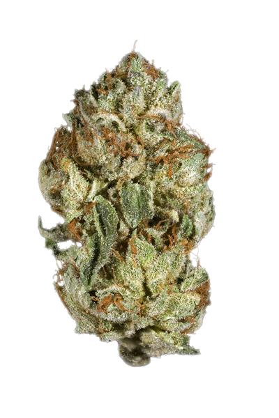 Citrus Kush - Híbrida Cannabis Strain