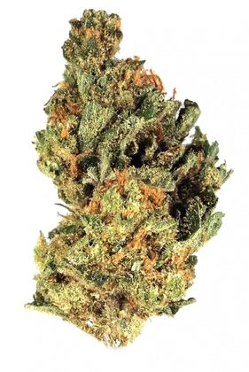 Citrus Sap - Hybride Cannabis Strain