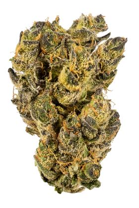 Citrus Tsunami #1 - Hybrid Cannabis Strain