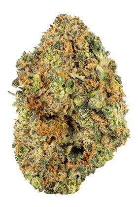City Slicker #5 - Híbrida Cannabis Strain