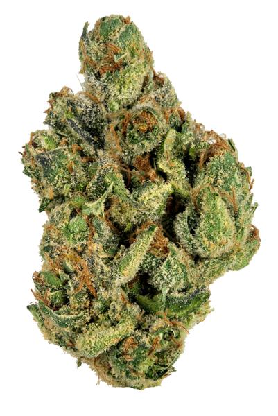 Clementine - Hybrid Cannabis Strain