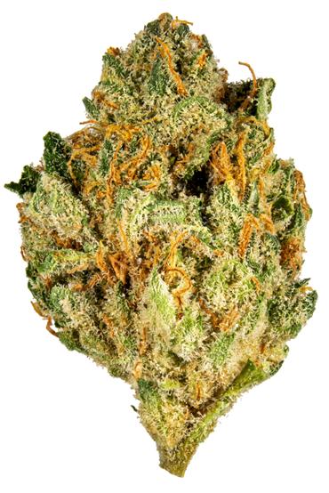 Code Orange - Hybrid Cannabis Strain