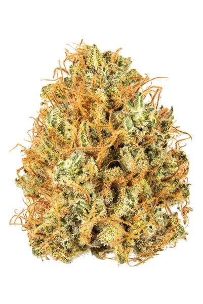 Congo Blueberry - Hybrid Cannabis Strain
