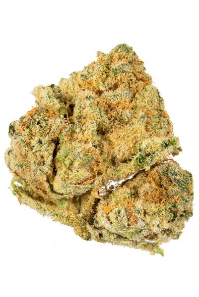 Cookie Crunch - Híbrido Cannabis Strain