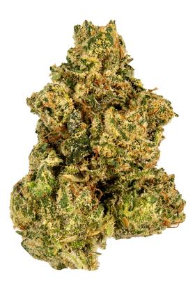 Cookie Glue - Híbrido Cannabis Strain