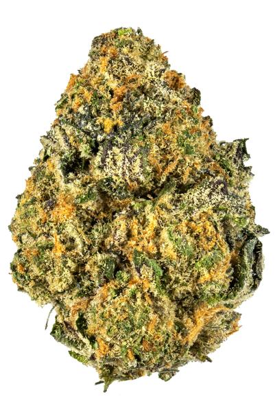 Cookie Hoe - Hybrid Cannabis Strain