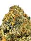 Cookie Hoe Hybrid Cannabis Strain Thumbnail