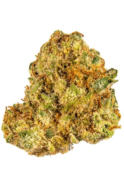 Cookie Punch - Hybrid Cannabis Strain