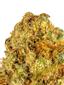 Cookie Punch Hybrid Cannabis Strain Thumbnail