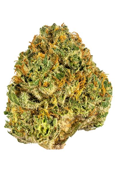 Cookie Supreme - Hybrid Cannabis Strain
