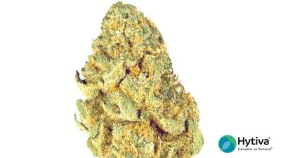 Cookies and Chem - Indica Strain