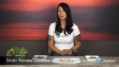 Cookies and Cream - Hybrid Strain