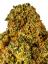 Cookies Tangie #5 Hybrid Cannabis Strain Thumbnail