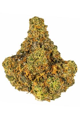 Cookies - Hybrid Cannabis Strain