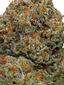 Cornbread Hybrid Cannabis Strain Thumbnail