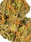 Cosmic Cookies Hybrid Cannabis Strain Thumbnail