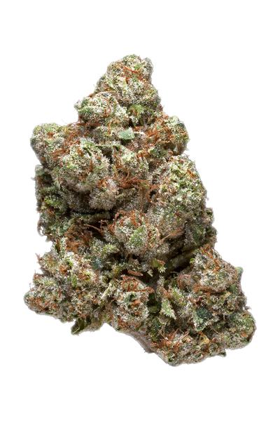 Cove OG - Híbrida Cannabis Strain