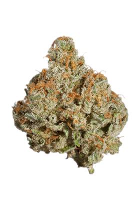 Cracker Jack - Hybrid Cannabis Strain