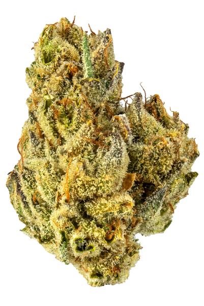 Crazy Glue - Hybrid Cannabis Strain