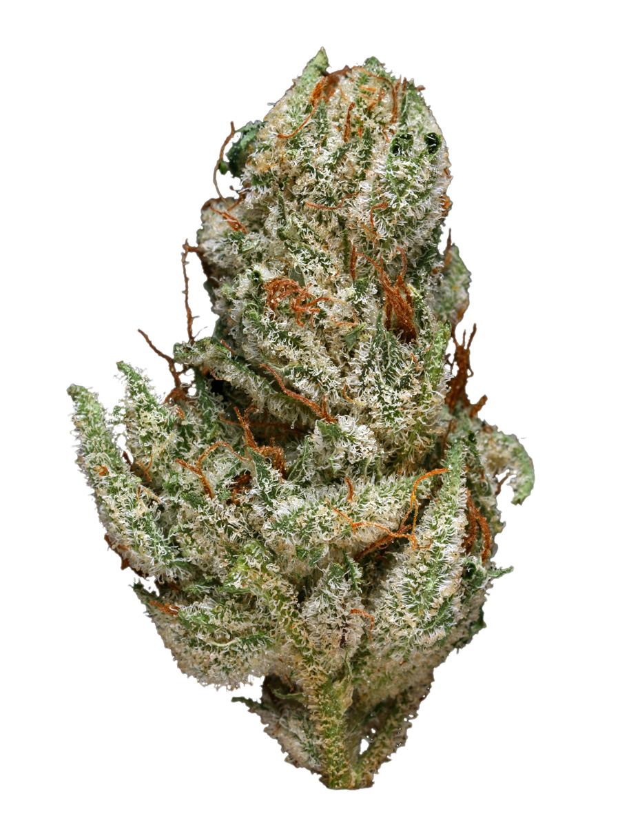 Cream Caramel Strain - Indica Cannabis Review, CBD, THC ...