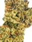 Creme D Mint Hybrid Cannabis Strain Thumbnail