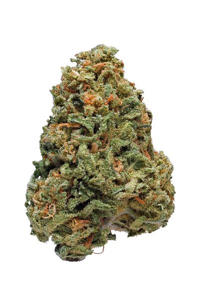 Crimea Blue - Híbrido Cannabis Strain