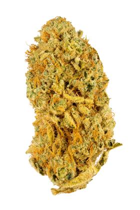 Cringer's Cookies - Hybrid Cannabis Strain