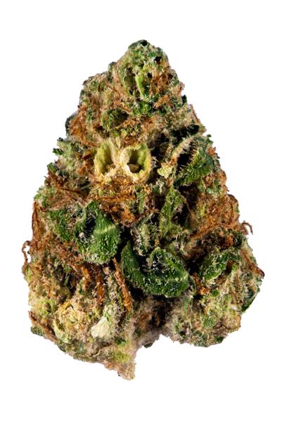 Critical Kush - Hybrid Cannabis Strain