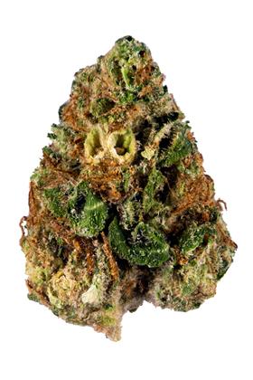 Critical Kush - Hybrid Cannabis Strain
