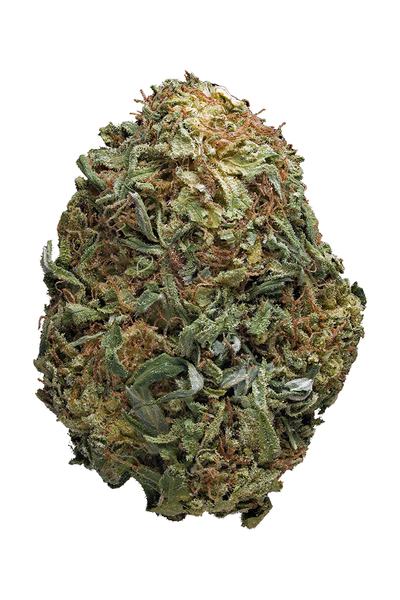 Critical Mass - Indica Cannabis Strain