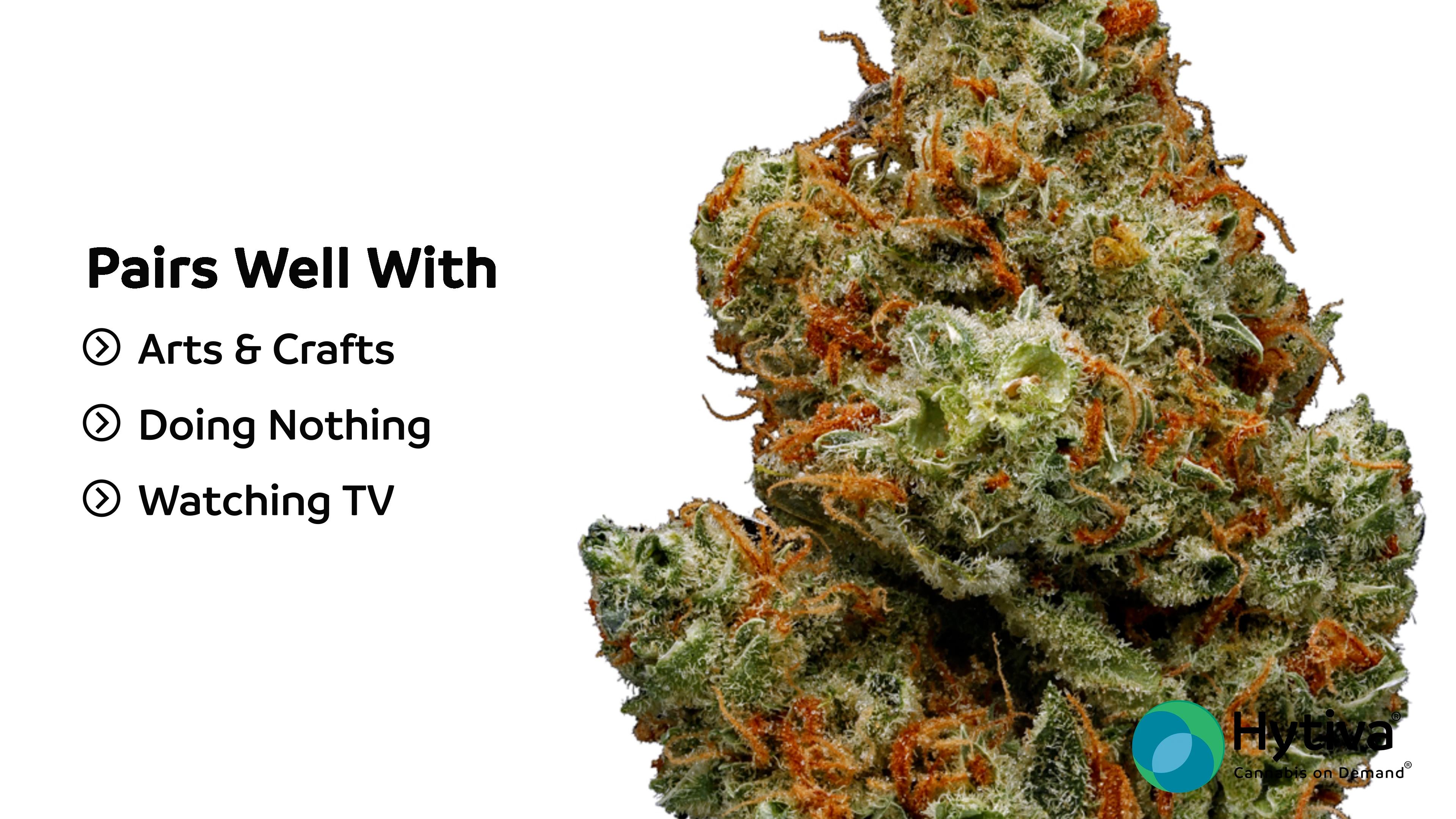 Big Bang Strain - Hybrid Cannabis Review, CBD : Hytiva