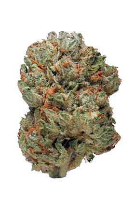 Crown OG - Indica Cannabis Strain